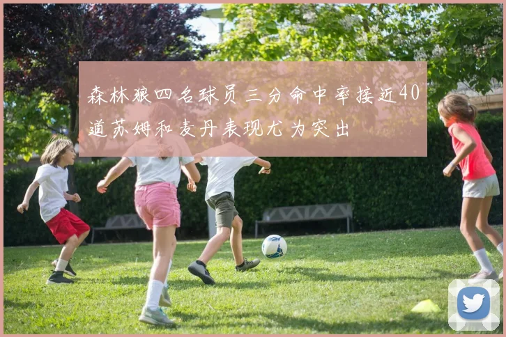 森林狼四名球员三分命中率接近40道苏姆和麦丹表现尤为突出